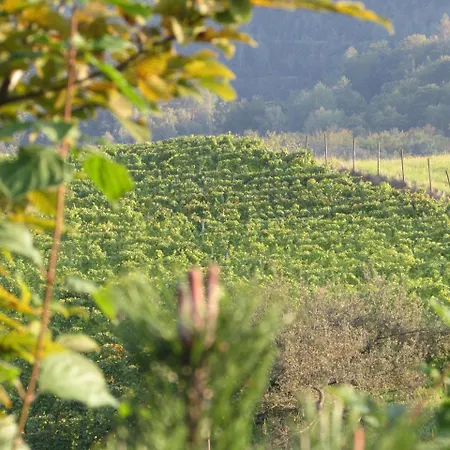 ホテル Gasthof Und Kulmberghof *