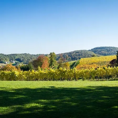 Gasthof Und Kulmberghof *