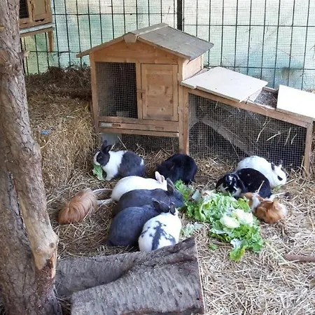 Gasthof Und Kulmberghof *