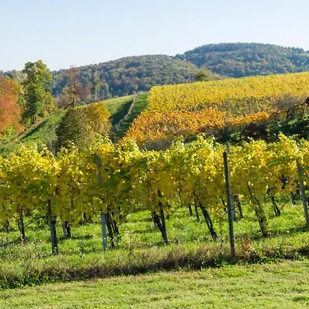 ホテル Gasthof Und Kulmberghof