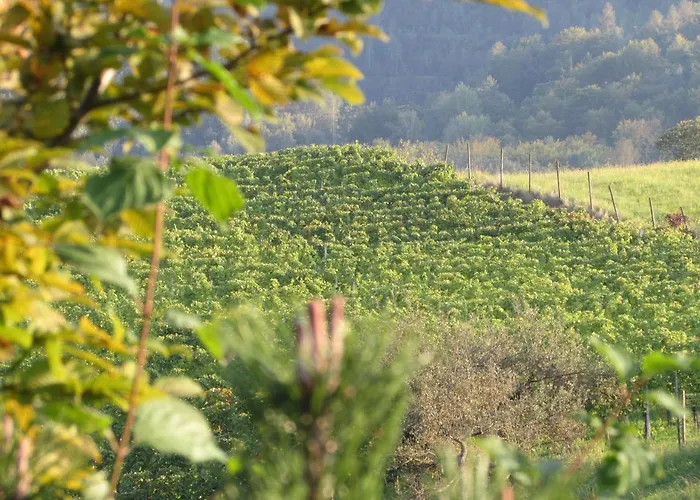 Ξενοδοχείο Gasthof Und Kulmberghof *