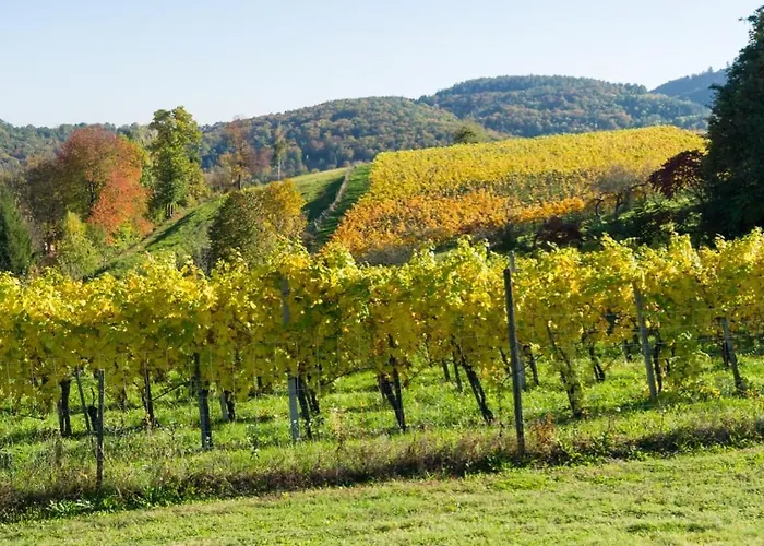 Ξενοδοχείο Gasthof Und Kulmberghof